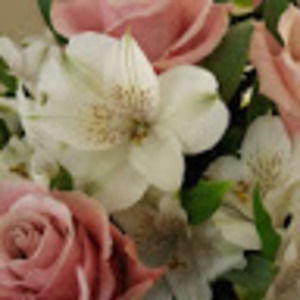 Meet your Posher, Donna